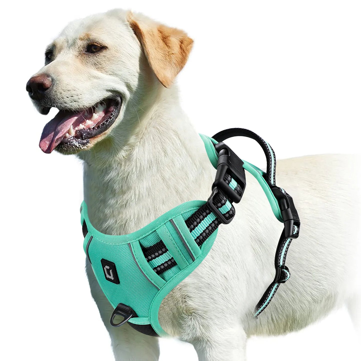 No-Pull Padded Dog Vest Harness – Easy Control