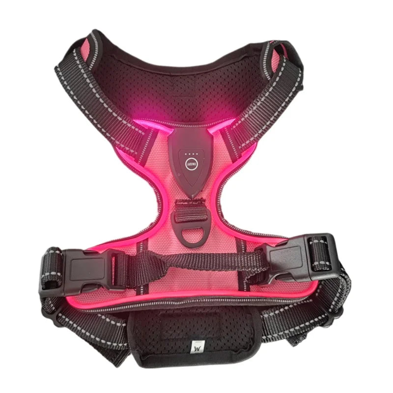 Harness - LED Rechargeable Harness