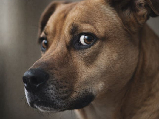 Stress Signals You're Missing