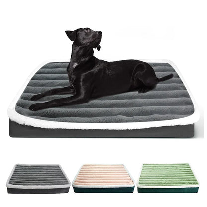 Orthopedic Dog Bed