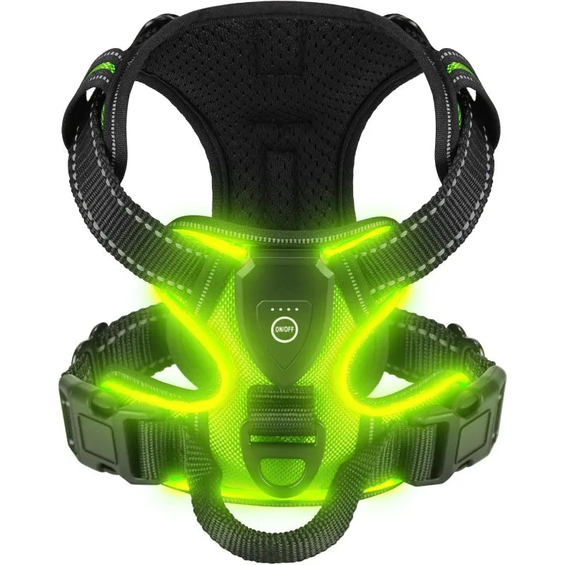 Harness - LED Rechargeable Harness