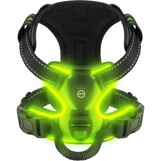 Harness - LED Rechargeable Harness