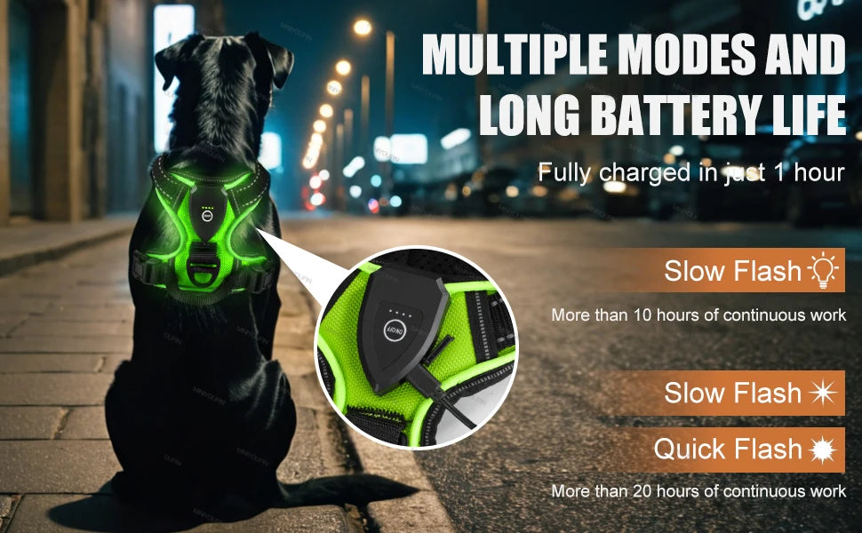 Harness - LED Rechargeable Harness