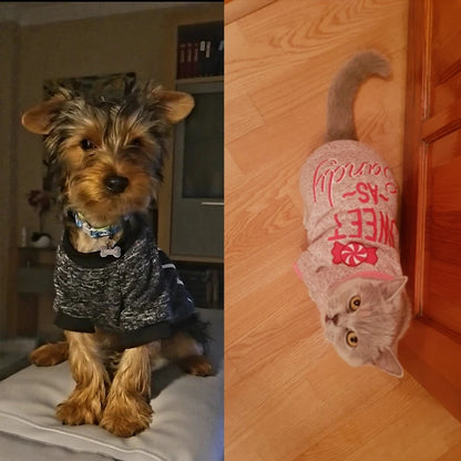 Hoodie - Autumn & Winter