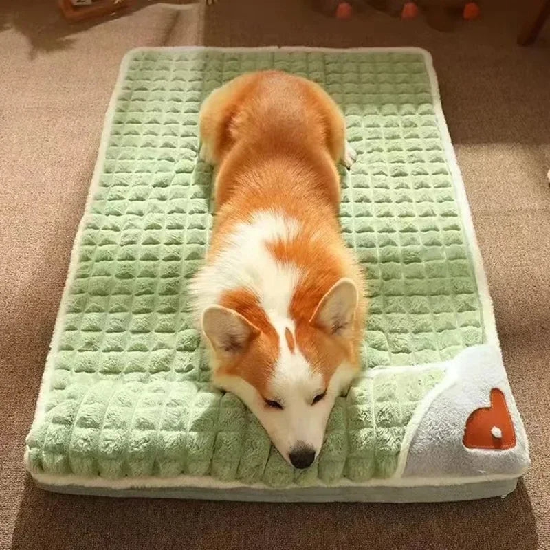 Orthopedic Memory Foam Dog Bed