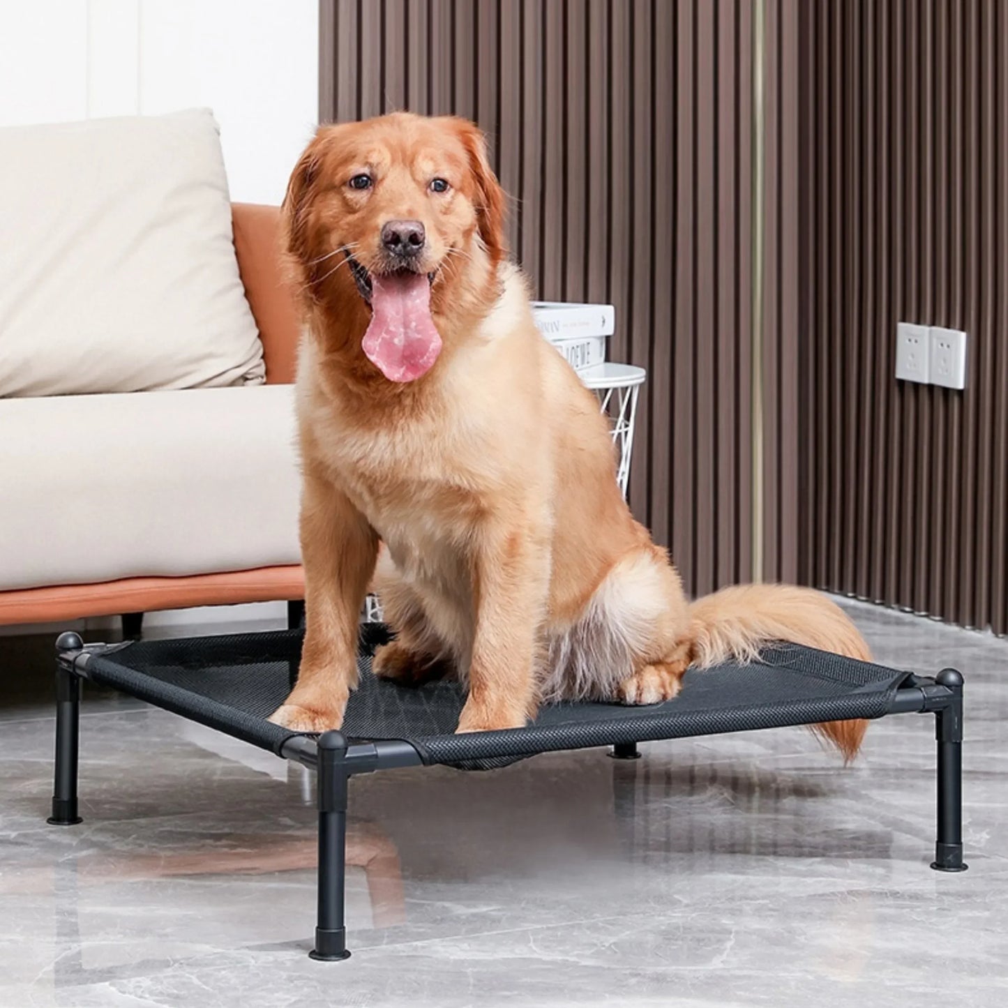 Elevated Dog Bed – Portable & Washable