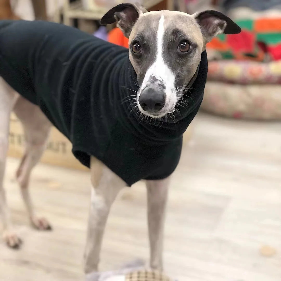 Fleece Vest - Turtleneck Whippet Italian Greyhound Coat