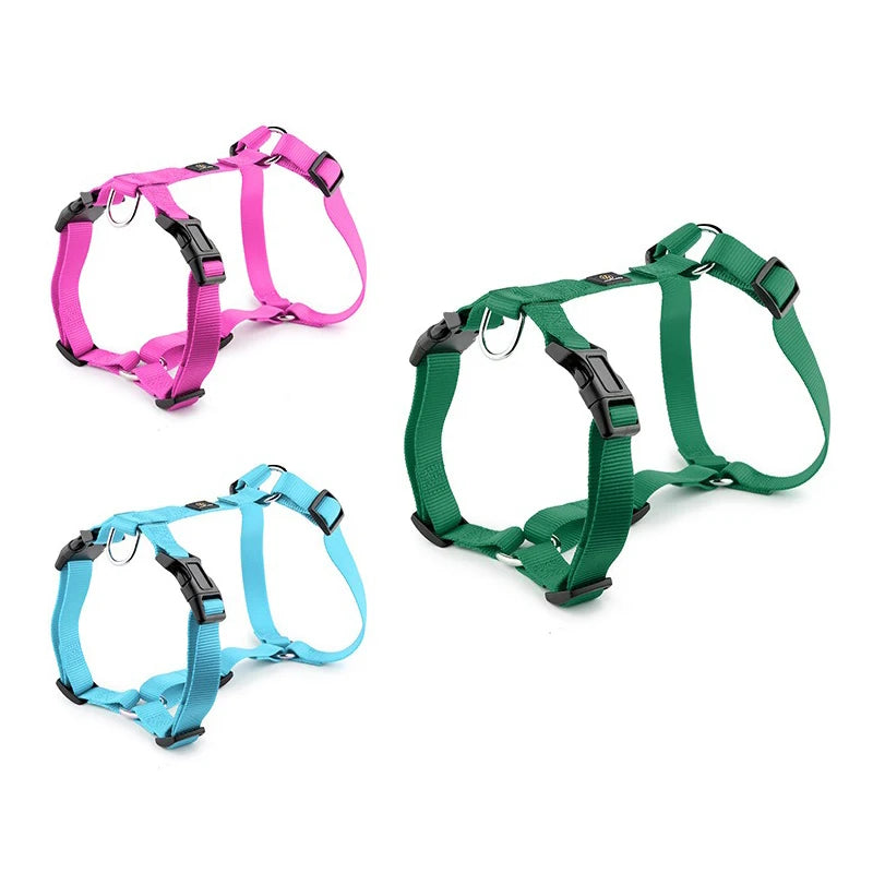 Durable H-Style Dog Harness & Leash