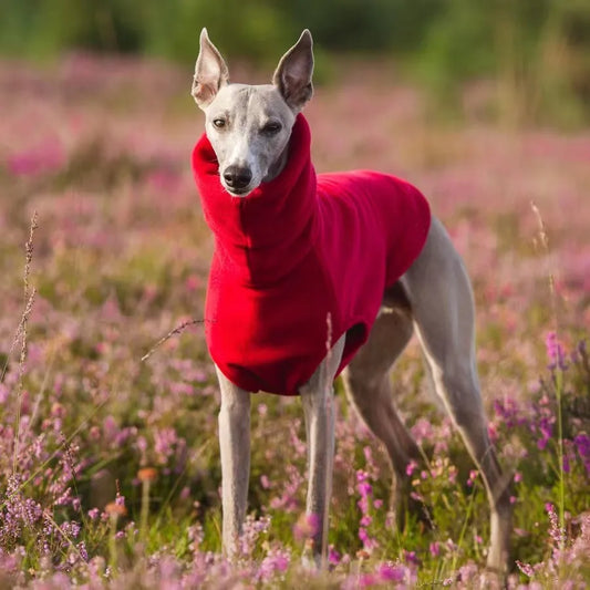 Fleece Vest - Turtleneck Whippet Italian Greyhound Coat