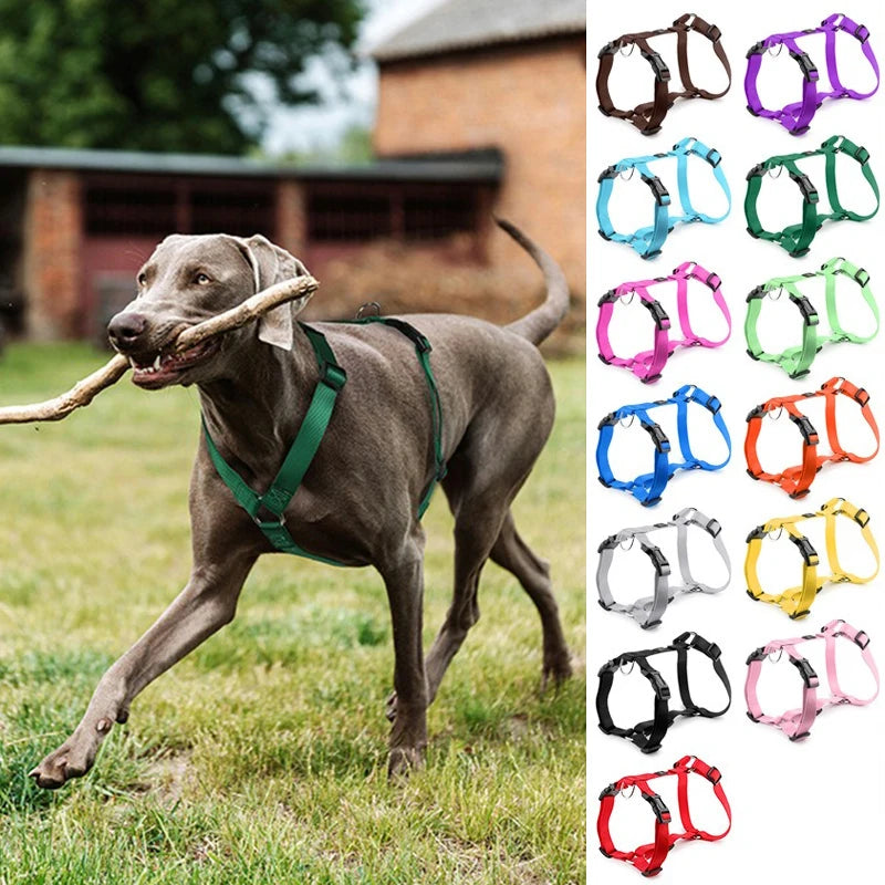 Durable H-Style Dog Harness & Leash