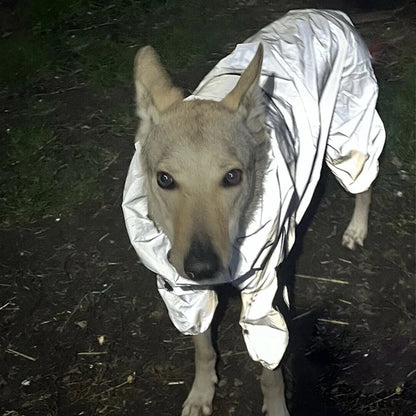 Raincoat - All-Weather Pet Jumpsuit