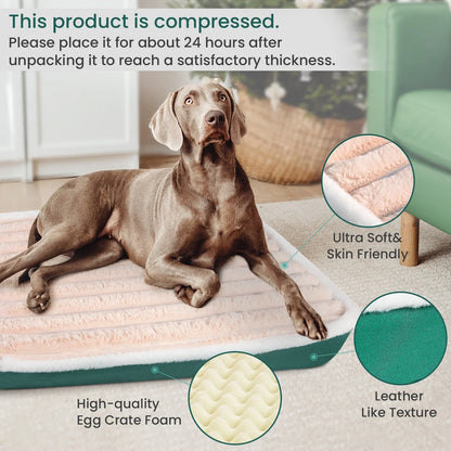 Orthopedic Dog Bed