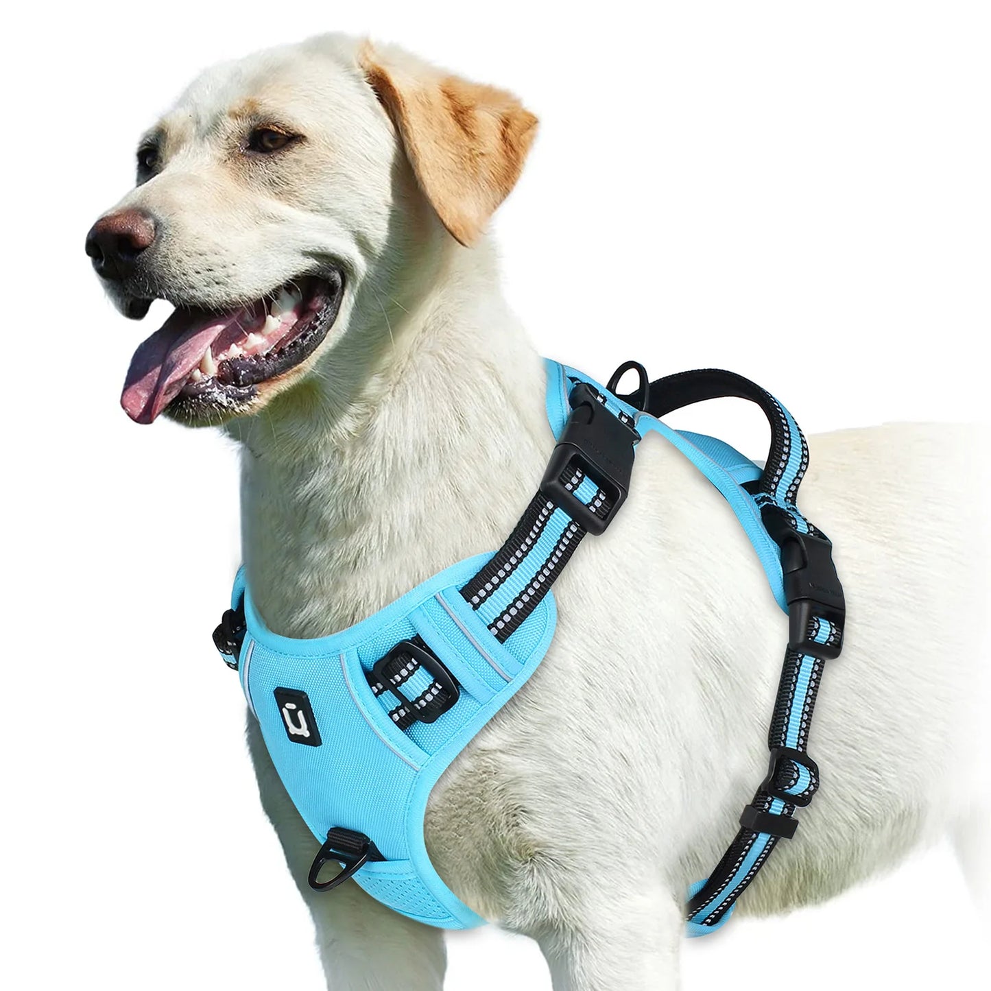 No-Pull Padded Dog Vest Harness – Easy Control