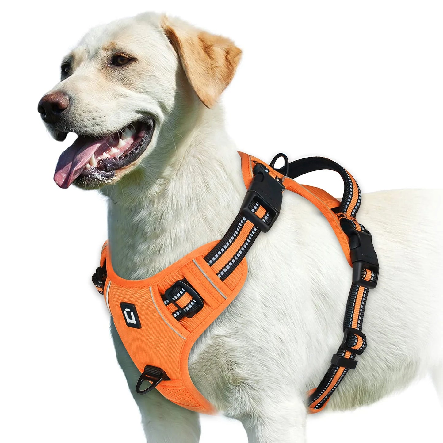 No-Pull Padded Dog Vest Harness – Easy Control
