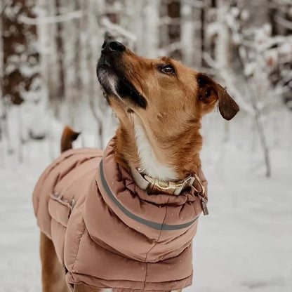 Winter Coat - Fleece Down Jacket for Dogs