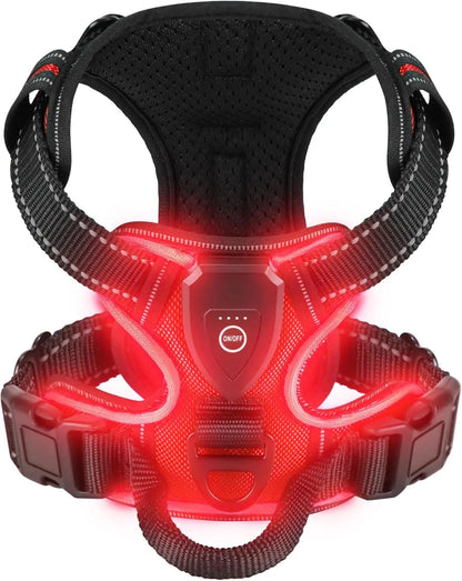 Harness - LED Rechargeable Harness