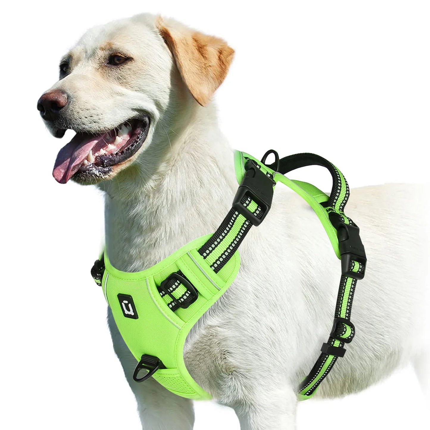 No-Pull Padded Dog Vest Harness – Easy Control