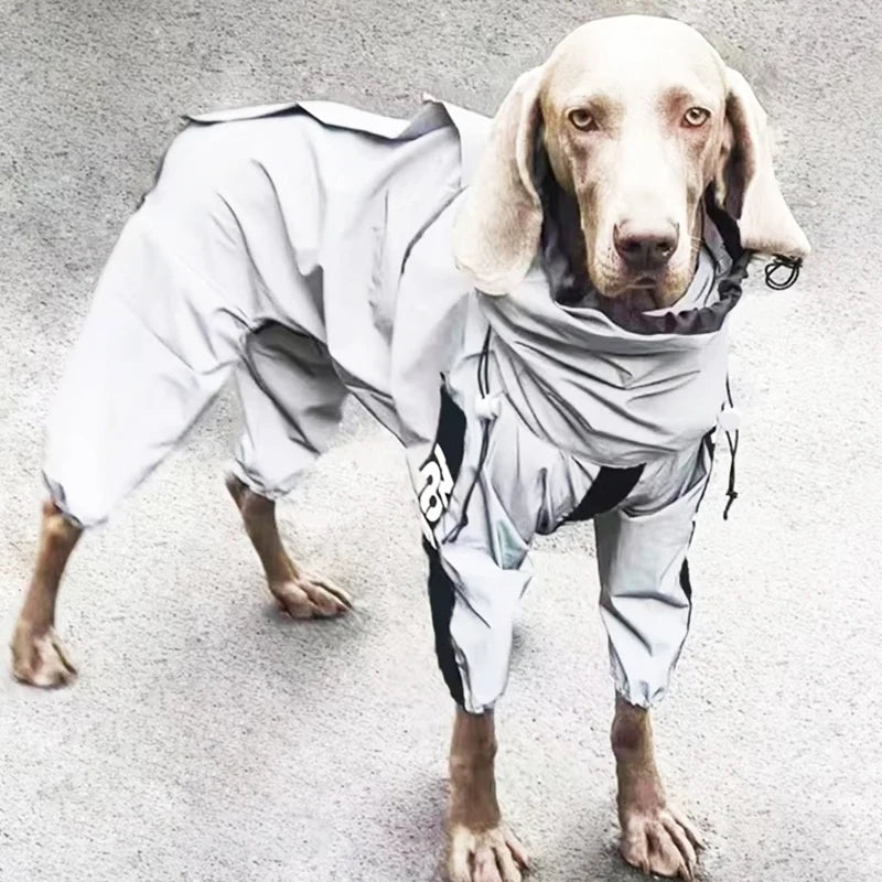 Raincoat - All-Weather Pet Jumpsuit