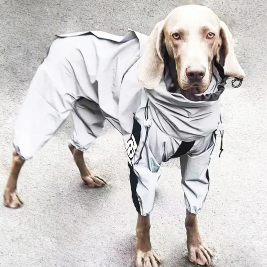 Raincoat - All-Weather Pet Jumpsuit
