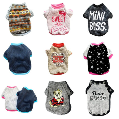 Hoodie - Autumn & Winter