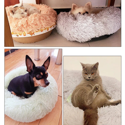 Warm Deep Sleep Bed - Premium Sofa Style Pet Bed