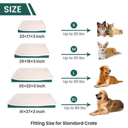 Orthopedic Dog Bed