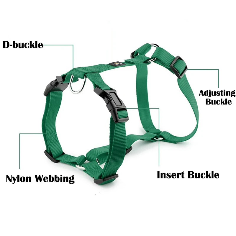 Durable H-Style Dog Harness & Leash