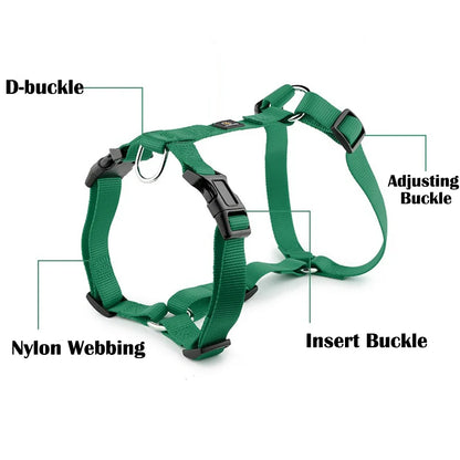 Durable H-Style Dog Harness & Leash