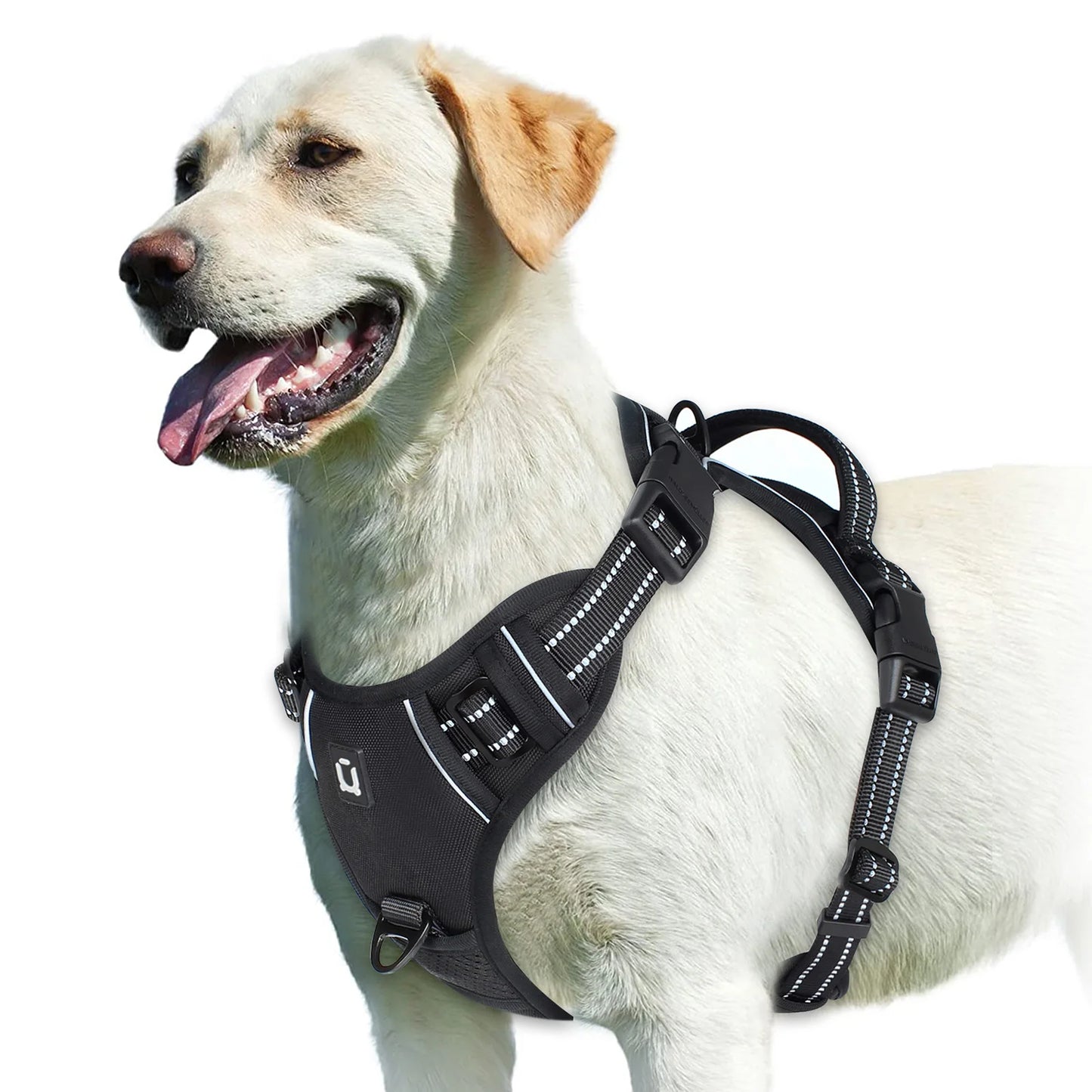 No-Pull Padded Dog Vest Harness – Easy Control