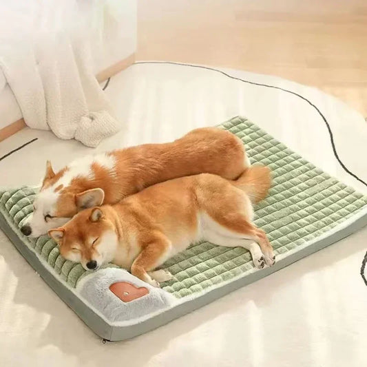 Orthopedic Memory Foam Dog Bed