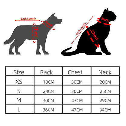 Hoodie - Autumn & Winter