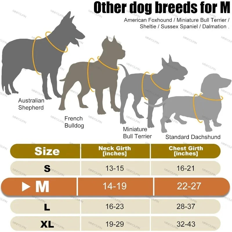 Harness - LED Rechargeable Harness