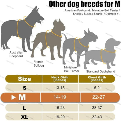Harness - LED Rechargeable Harness