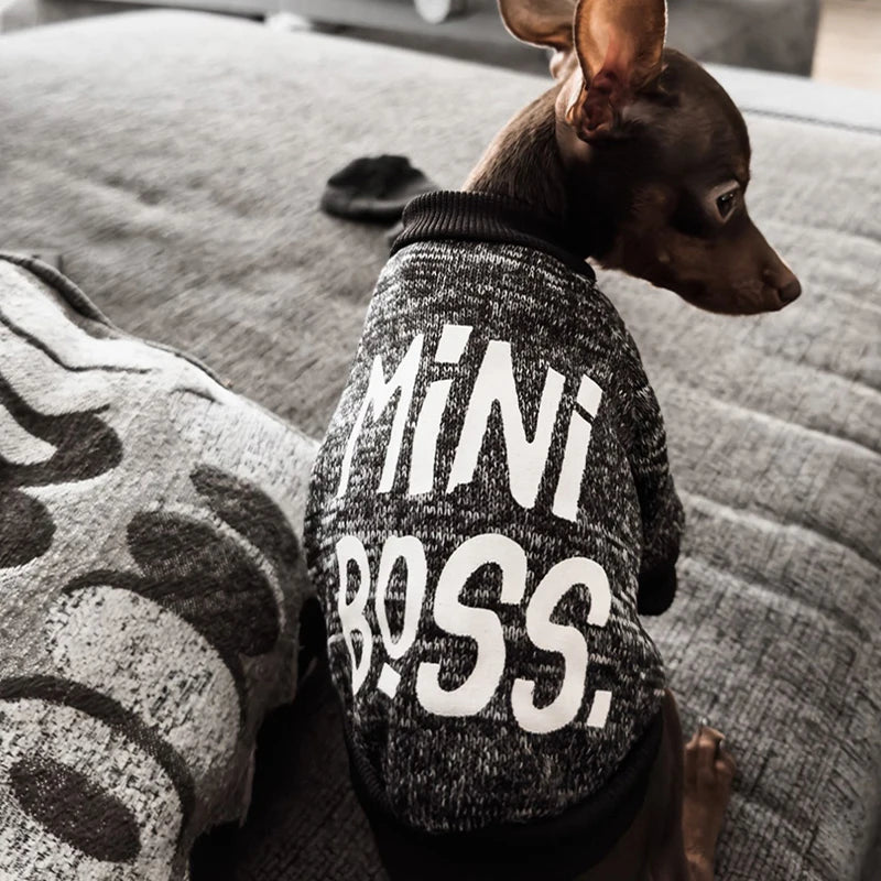 Hoodie - Autumn & Winter