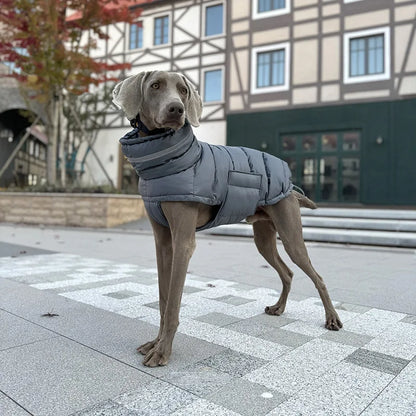 Winter Coat - Fleece Down Jacket for Dogs