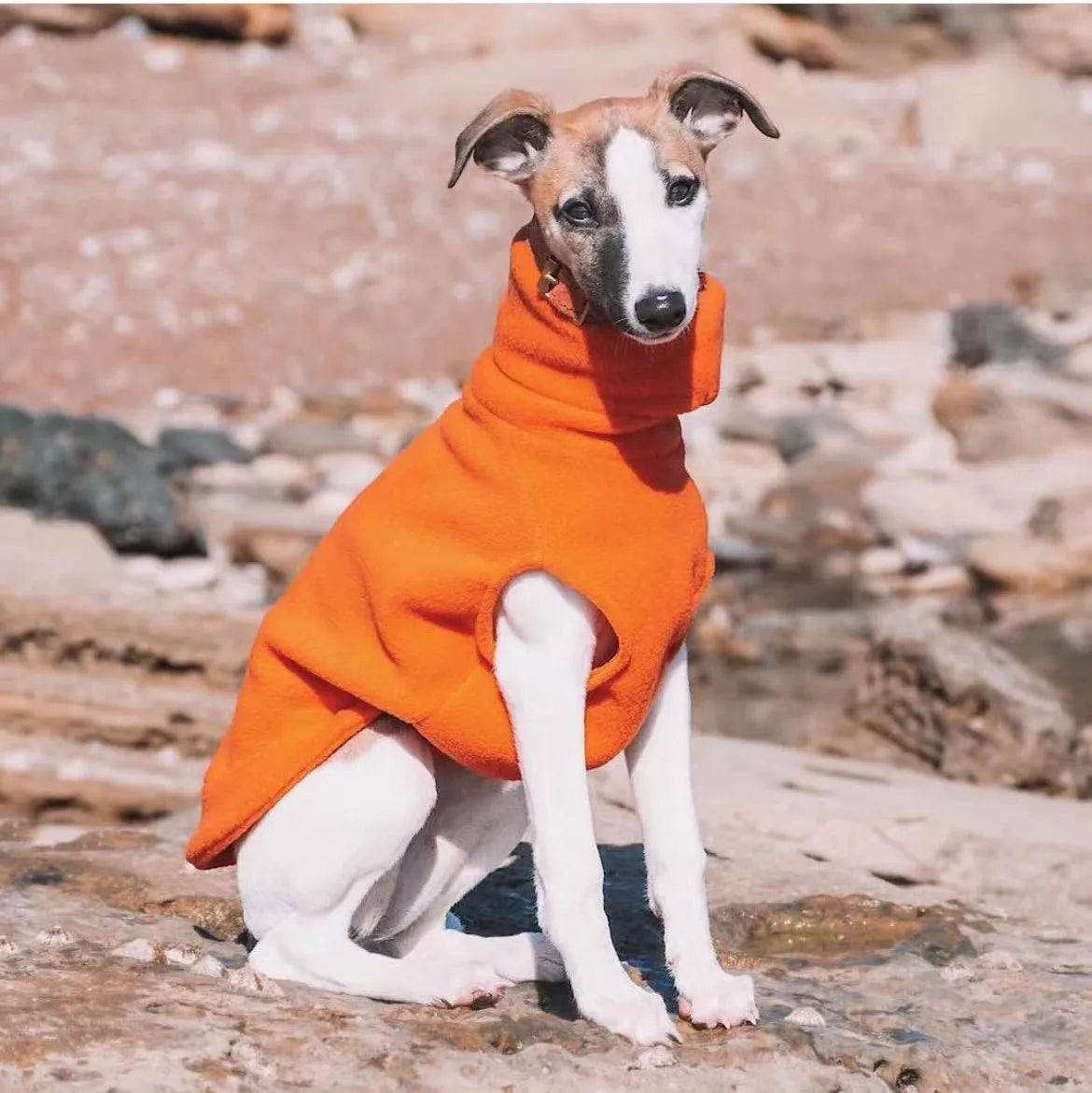 Fleece Vest - Turtleneck Whippet Italian Greyhound Coat