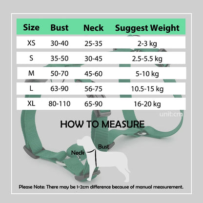 Durable H-Style Dog Harness & Leash