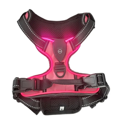 Harness - LED Rechargeable Harness