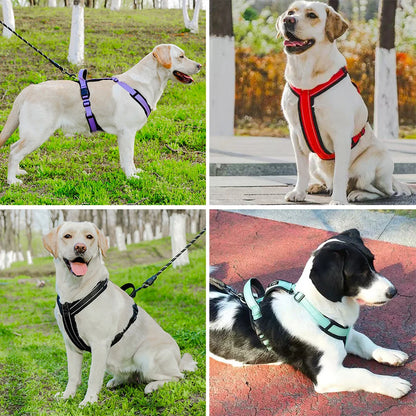 Reflective Dog Harness – Handle & Easy Control