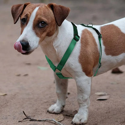 Durable H-Style Dog Harness & Leash