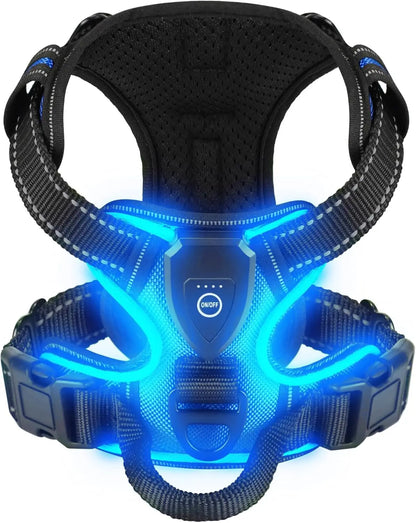 Harness - LED Rechargeable Harness