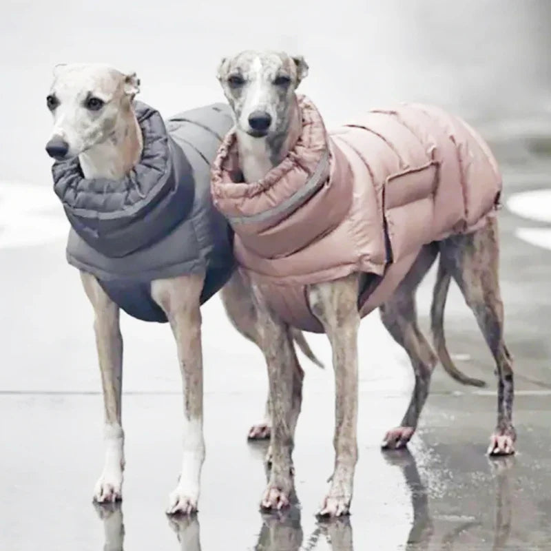 Winter Coat - Fleece Down Jacket for Dogs