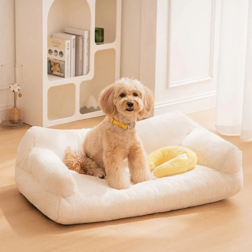 All-Season dog Sofa &  House